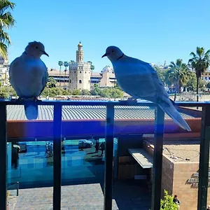 Betis Del Oro Alloggio in famiglia Siviglia
